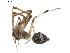  ( - BIOUG00886-D08)  @13 [ ] CC-0  G. Blagoev 2011 Unspecified