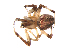  ( - BIOUG00889-G06)  @13 [ ] Copyright  G. Blagoev 2012 Unspecified