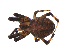  ( - BIOUG00889-G10)  @13 [ ] Copyright  G. Blagoev 2012 Unspecified