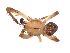  ( - BIOUG00889-G12)  @13 [ ] Copyright  G. Blagoev 2012 Unspecified