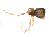  ( - BIOUG00889-H02)  @12 [ ] Copyright  G. Blagoev 2012 Unspecified