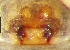  ( - Fuaq F NCA 2019 759)  @11 [ ] Creative Commons  Attribution Share-Alike (by-sa) (2019) Charles Haddad University of the Free State