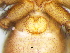 ( - Asmo F NCA 2021 120)  @11 [ ] Creative Commons  Attribution Share-Alike (by-sa) (2021) Charles Haddad University of the Free State