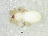  (Eleleis - Elsp I NCA 2021 129)  @11 [ ] Creative Commons  Attribution Share-Alike (by-sa) (2021) Charles Haddad University of the Free State