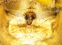  ( - Nepe F NCA 2021 74)  @11 [ ] Creative Commons  Attribution Share-Alike (by-sa) (2021) Charles Haddad University of the Free State