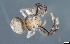  (Pherecydes - GGHNP-PT-P1-6)  @11 [ ] Creative Commons  Attribution Share-Alike (by-sa) (2019) Charles Haddad University of the Free State