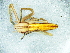  ( - Tiho NCA 2021 1067 F)  @11 [ ] Creative Commons  Attribution Share-Alike (by-sa) (2021) Charles Haddad University of the Free State