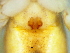  ( - Tiho NCA 2021 1067 F)  @11 [ ] Creative Commons  Attribution Share-Alike (by-sa) (2021) Charles Haddad University of the Free State