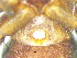  ( - Assu NCA 2021 988 F)  @11 [ ] Creative Commons  Attribution Share-Alike (by-sa) (2021) Charles Haddad University of the Free State