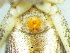  ( - Mogr NCA 2021 873 F)  @11 [ ] Creative Commons  Attribution Share-Alike (by-sa) (2021) Charles Haddad University of the Free State