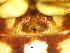  ( - Hide F NCA 2021 483)  @11 [ ] Creative Commons  Attribution Share-Alike (by-sa) (2021) Charles Haddad University of the Free State