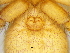  ( - Asli F NCA 2021 274)  @11 [ ] Creative Commons  Attribution Share-Alike (by-sa) (2021) Charles Haddad University of the Free State
