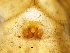  ( - Grro_NMBA_18917_F3)  @11 [ ] Creative Commons  Attribution Share-Alike (by-sa) (2024) Charles Haddad University of the Free State