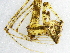  (Anansi - Ansp_NMBA_19306_F)  @11 [ ] Creative Commons  Attribution Share-Alike (by-sa) (2024) Charles Haddad University of the Free State