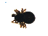  ( - CCDB-21418-A12)  @12 [ ] CreativeCommons - Attribution (2014) G. Blagoev Centre for Biodiversity Genomics