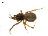  ( - CCDB-21418-D06)  @13 [ ] CreativeCommons - Attribution (2014) G. Blagoev Centre for Biodiversity Genomics