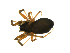  ( - CCDB-21418-H05)  @12 [ ] CreativeCommons - Attribution (2014) G. Blagoev Centre for Biodiversity Genomics