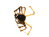  ( - CCDB-21419-C11)  @12 [ ] CreativeCommons - Attribution (2014) G. Blagoev Centre for Biodiversity Genomics