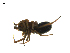  ( - CCDB-21419-G04)  @13 [ ] CreativeCommons - Attribution (2014) G. Blagoev Centre for Biodiversity Genomics