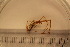  ( - AKR_1190)  @12 [ ] CreativeCommons - Attribution Non-Commercial Share-Alike (2016) Unspecified Tromso University Museum