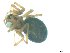  ( - AKR_1124)  @12 [ ] CreativeCommons - Attribution Non-Commercial Share-Alike (2016) Unspecified Tromso University Museum
