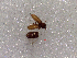  ( - SCU145)  @12 [ ] CreativeCommons - Attribution Share-Alike (2016) Unspecified Sunchon University