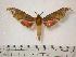  ( - BC-Basq0168)  @12 [ ] Copyright (2010) Unspecified Research Collection of Patrick Basquin