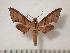  ( - BC-Basq0170)  @14 [ ] Copyright (2010) Unspecified Research Collection of Patrick Basquin