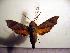  ( - BC-Basq 2049)  @13 [ ] Copyright (2010) Unspecified Research Collection of Patrick Basquin
