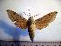  ( - BC-Basq 2081)  @14 [ ] Copyright (2010) Unspecified Research Collection of Patrick Basquin