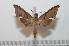  ( - BC-Basq 2156)  @14 [ ] Copyright (2010) Unspecified Research Collection of Patrick Basquin