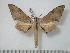  ( - BC-Basq0216)  @14 [ ] Copyright (2010) Unspecified Research Collection of Patrick Basquin
