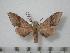  ( - BC-Basq0227)  @12 [ ] Copyright (2010) Unspecified Research Collection of Patrick Basquin
