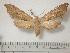  ( - BC-Basq0252)  @13 [ ] Copyright (2010) Unspecified Research Collection of Patrick Basquin