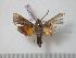  ( - BC-Basq0378)  @13 [ ] Copyright (2010) Unspecified Research Collection of Patrick Basquin