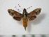  ( - BC-Basq0398)  @14 [ ] Copyright (2010) Unspecified Research Collection of Patrick Basquin