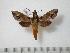  ( - BC-Basq0399)  @14 [ ] Copyright (2010) Unspecified Research Collection of Patrick Basquin