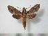  ( - BC-Basq0401)  @13 [ ] Copyright (2010) Unspecified Research Collection of Patrick Basquin