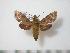  ( - BC-Basq0403)  @13 [ ] Copyright (2010) Unspecified Research Collection of Patrick Basquin
