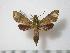  ( - BC-Basq0404)  @13 [ ] Copyright (2010) Unspecified Research Collection of Patrick Basquin
