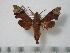  ( - BC-Basq0431)  @13 [ ] Copyright (2010) Unspecified Research Collection of Patrick Basquin