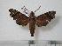  ( - BC-Basq0433)  @13 [ ] Copyright (2010) Unspecified Research Collection of Patrick Basquin