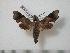 ( - BC-Basq0436)  @13 [ ] Copyright (2010) Unspecified Research Collection of Patrick Basquin
