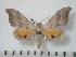  ( - BC-Basq0048)  @13 [ ] Copyright (2010) Unspecified Research Collection of Patrick Basquin
