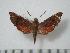  ( - BC-Basq0481)  @13 [ ] Copyright (2010) Unspecified Research Collection of Patrick Basquin