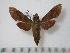  ( - BC-Basq0515)  @13 [ ] Copyright (2010) Unspecified Research Collection of Patrick Basquin
