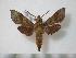  ( - BC-Basq0520)  @13 [ ] Copyright (2010) Unspecified Research Collection of Patrick Basquin