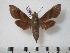  ( - BC-Basq0521)  @13 [ ] Copyright (2010) Unspecified Research Collection of Patrick Basquin