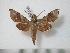  ( - BC-Basq0523)  @13 [ ] Copyright (2010) Unspecified Research Collection of Patrick Basquin