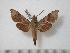  ( - BC-Basq0524)  @13 [ ] Copyright (2010) Unspecified Research Collection of Patrick Basquin